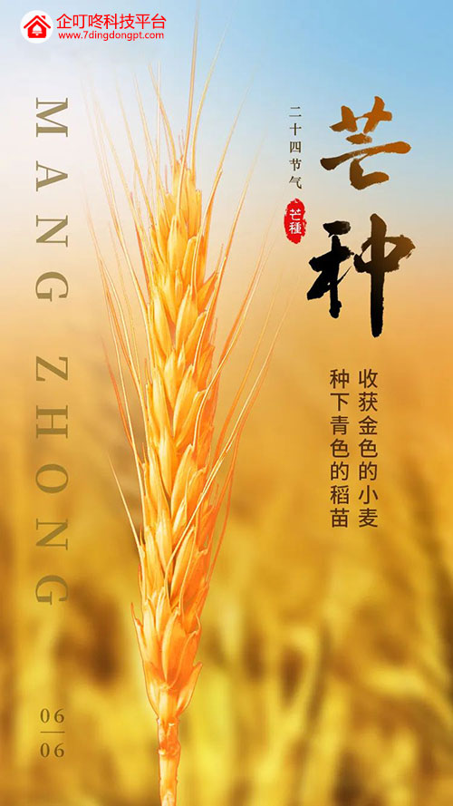 芒種.jpg 芒種.jpg