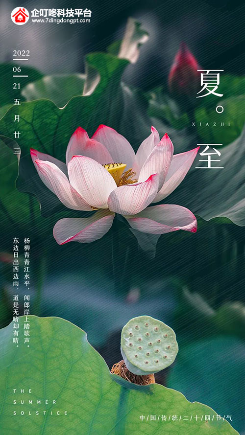 夏至.jpg 夏至.jpg