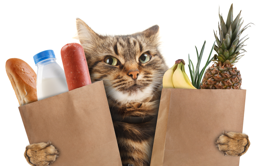 贈品促銷2.png 贈品促銷2.png